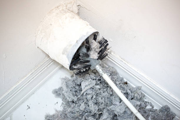 Best Industrial Air Duct Cleaning in Ridge Manor, FL